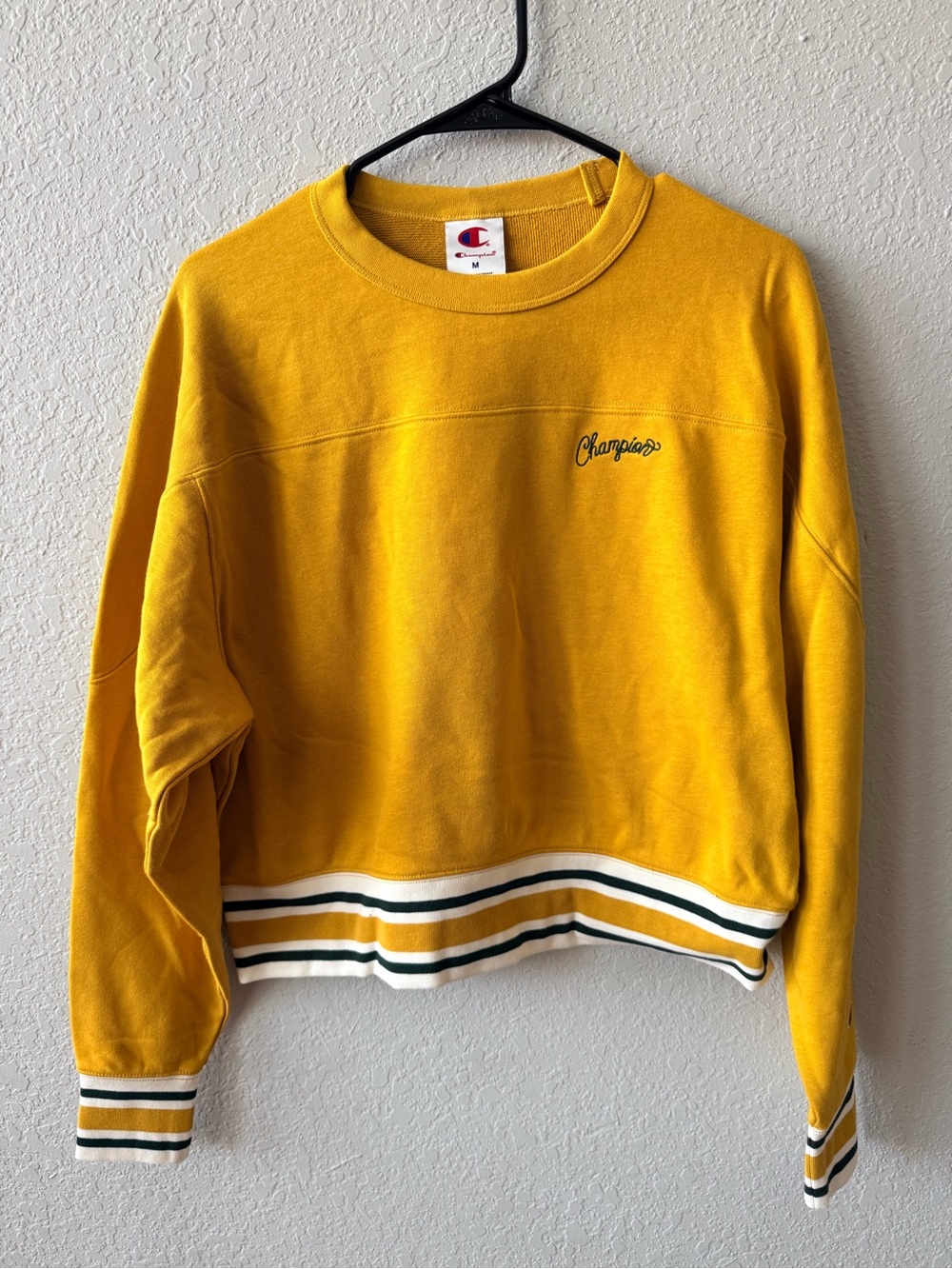Champion sweater shirt